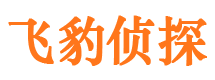 嘉陵市侦探公司